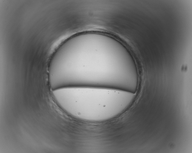 X0000111171363200907010957