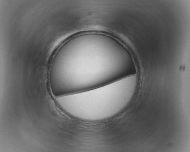 X0000111171364200907010957