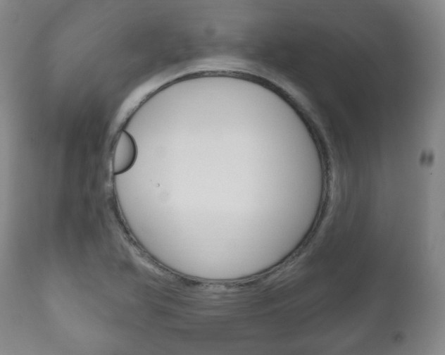 X0000111171366200907010957