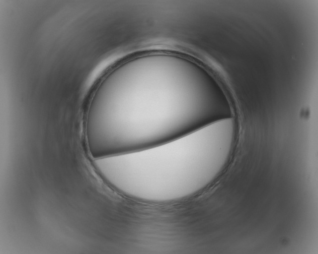 X0000111171368200907010957
