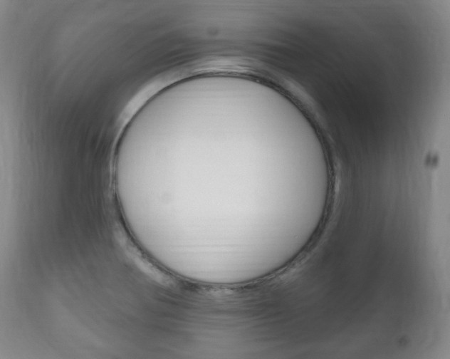 X0000111171370200907010957