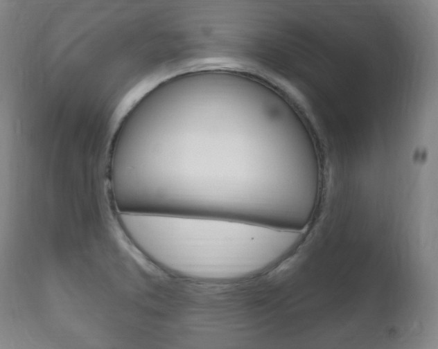 X0000111171373200907010957