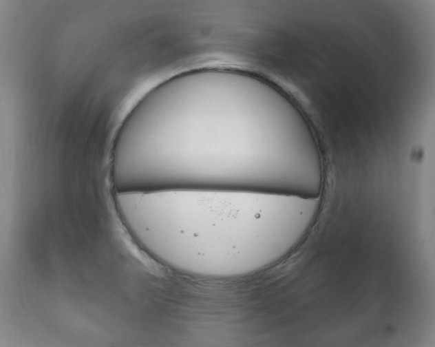 X0000111171375200907010957