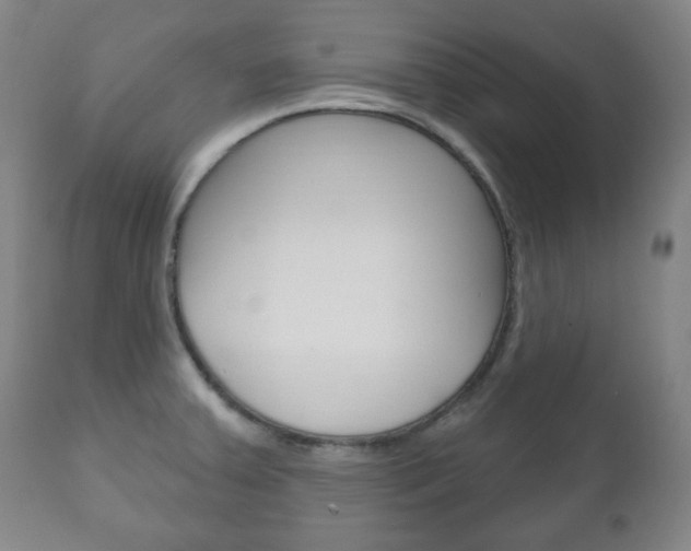 X0000111171379200907010957