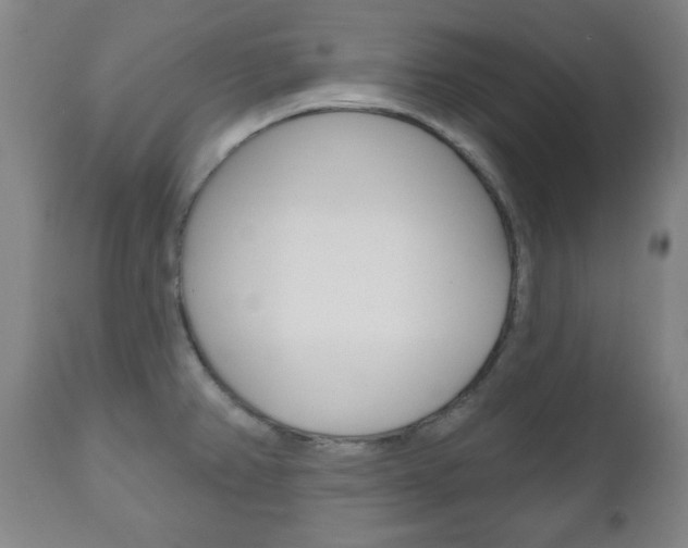 X0000111171382200907010957