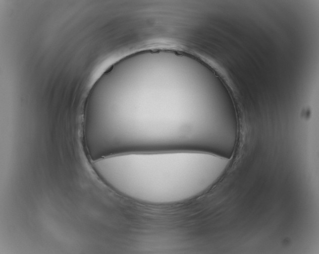X0000111171383200907010957