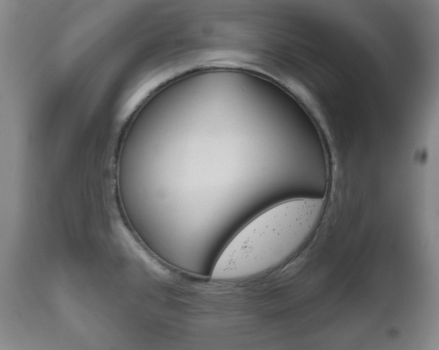 X0000111171384200907010957