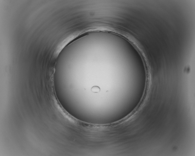 X0000111171385200907010957