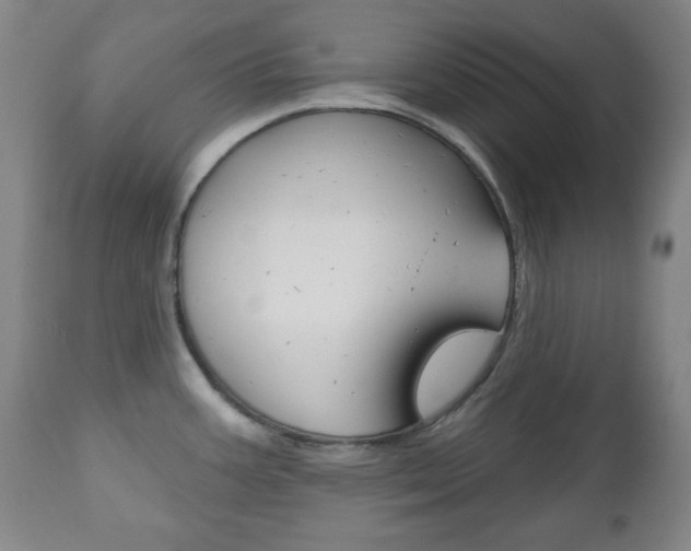 X0000111171387200907010957