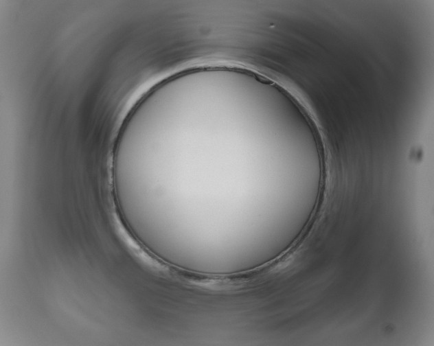 X0000111171388200907010957