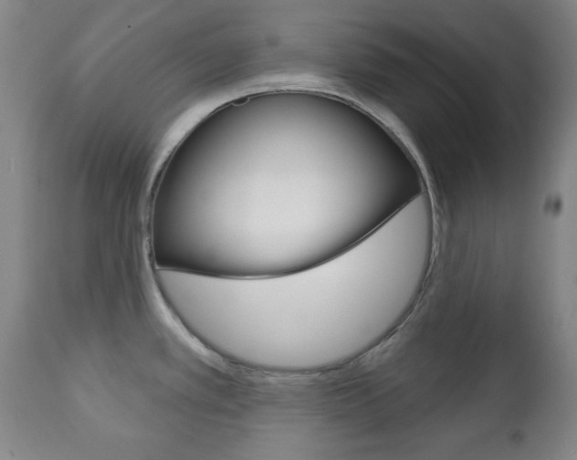 X0000111171389200907010957