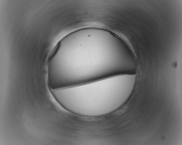 X0000111171391200907010957