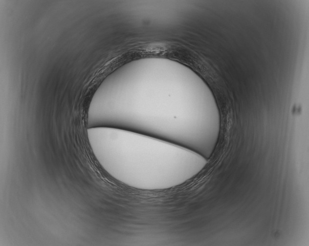 X0000111171394200907010956