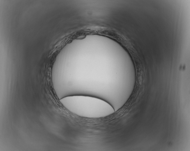 X0000111171397200907010956