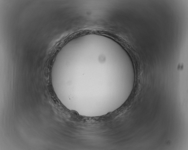 X0000111171398200907010956