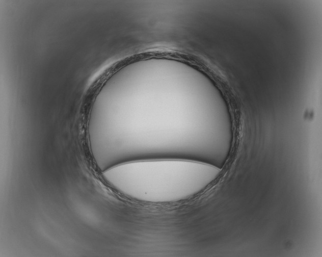 X0000111171400200907010956