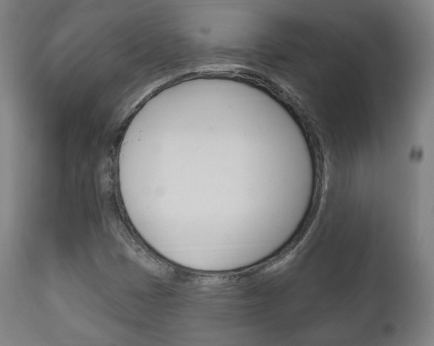 X0000111171401200907010956