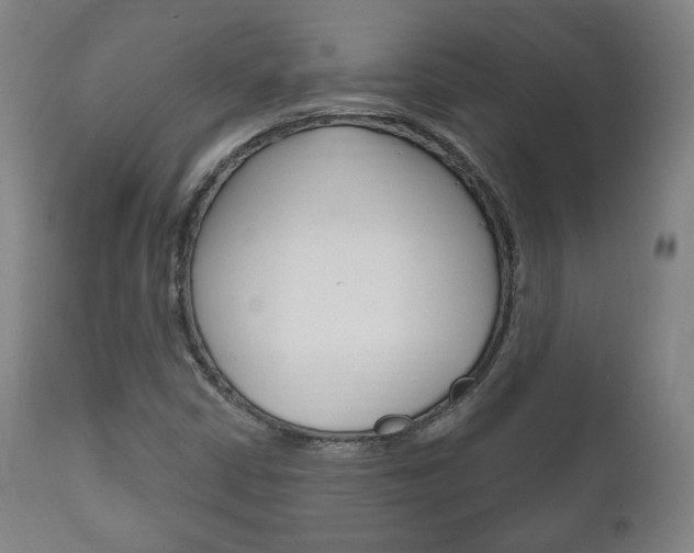 X0000111171402200907010956