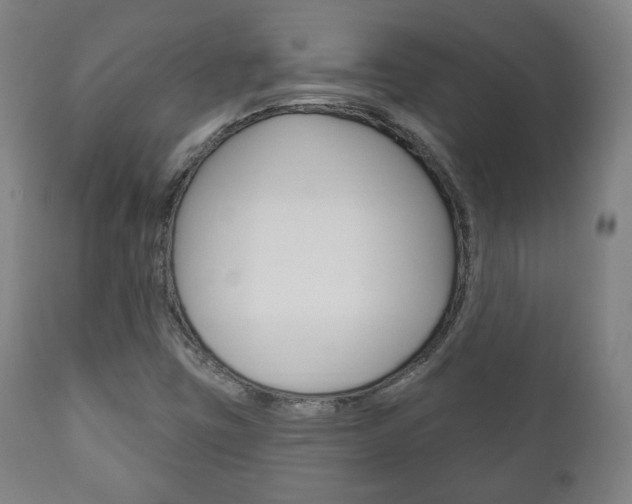X0000111171403200907010956