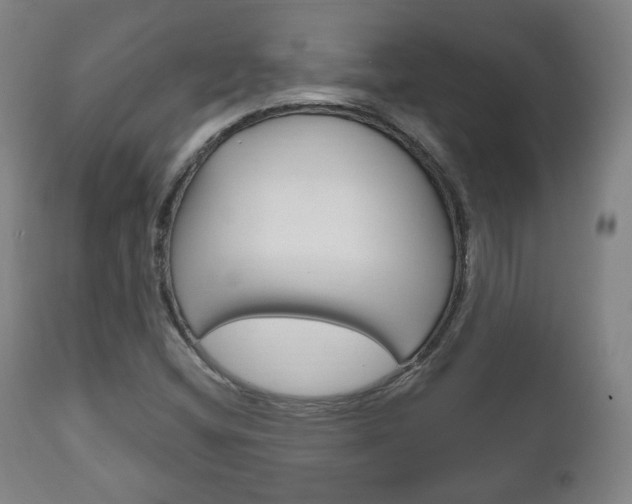 X0000111171404200907010956