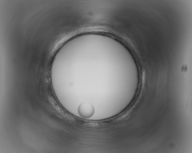 X0000111171405200907010956
