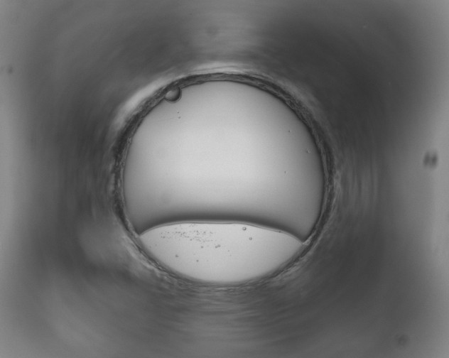 X0000111171406200907010956