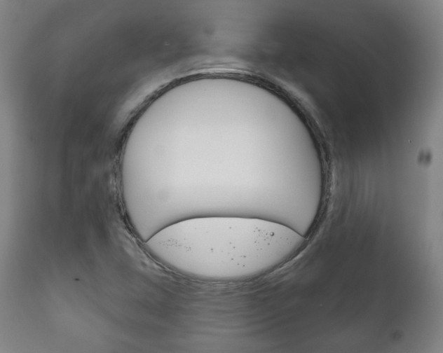 X0000111171407200907010956