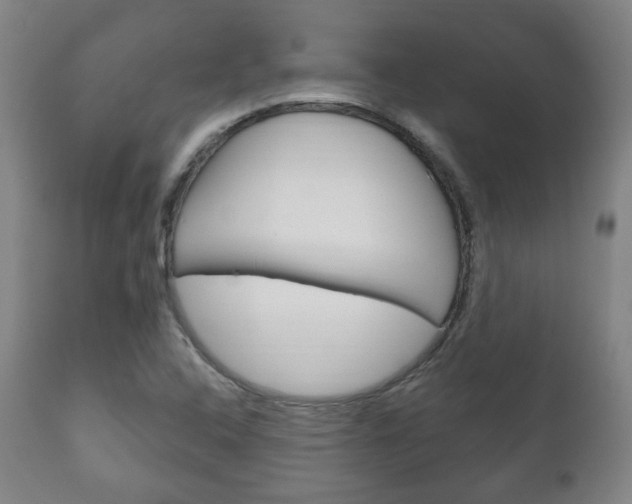 X0000111171408200907010956