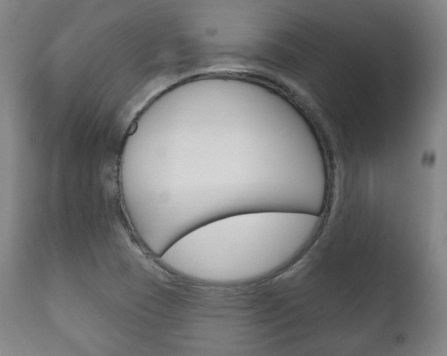 X0000111171409200907010956
