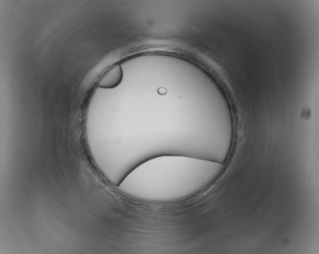 X0000111171411200907010957