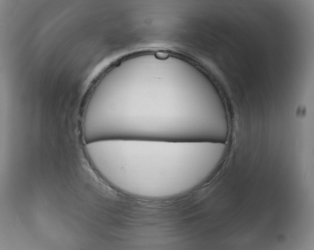 X0000111171412200907010957