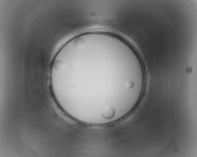 X0000111171413200907010957