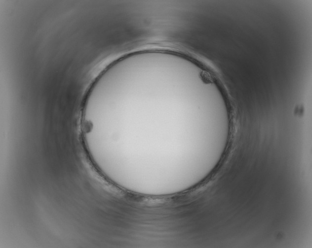 X0000111171415200907010957