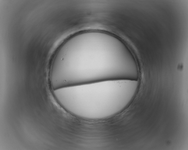 X0000111171416200907010957