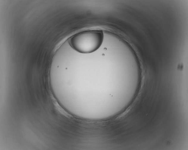 X0000111171417200907010957