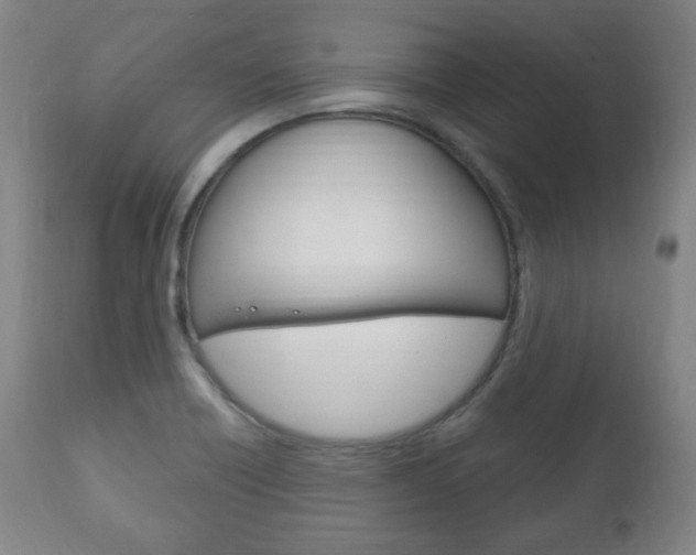 X0000111171418200907010957