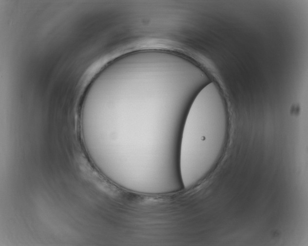 X0000111171419200907010957