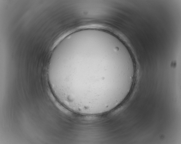 X0000111171425200907010957