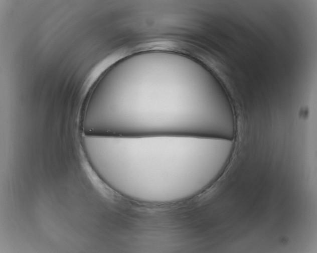 X0000111171426200907010957