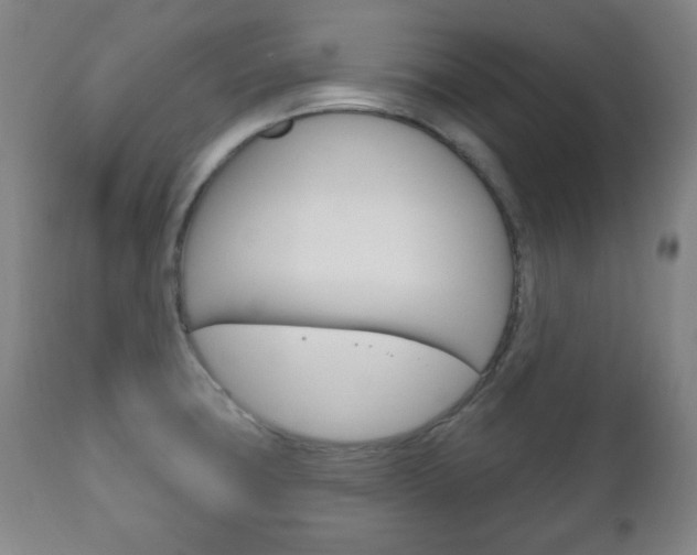X0000111171427200907010957