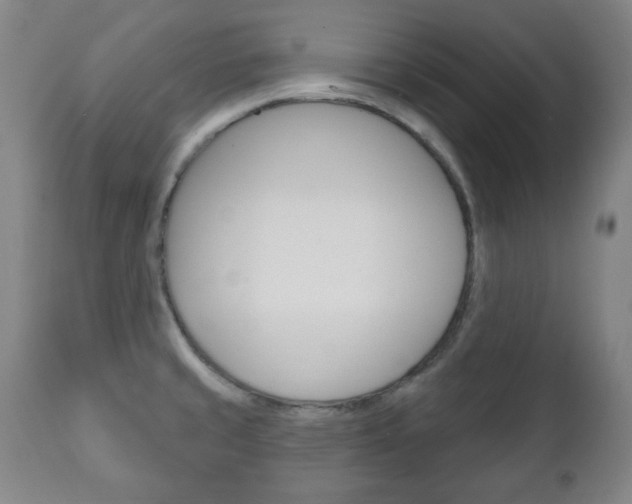 X0000111171429200907010957