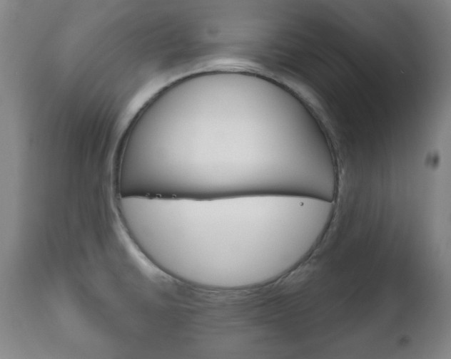 X0000111171430200907010957