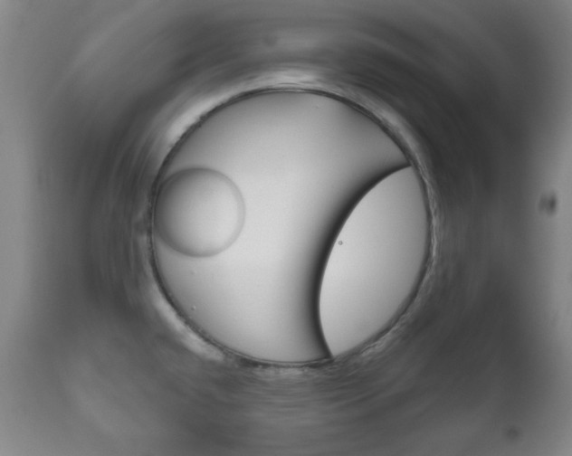 X0000111171432200907010957