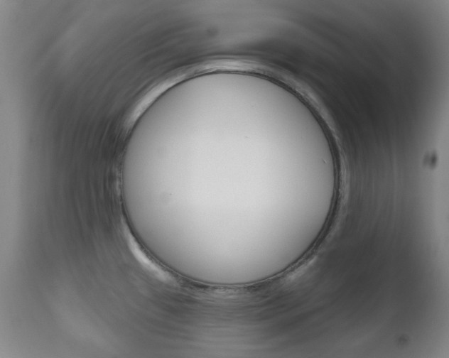 X0000111171433200907010957