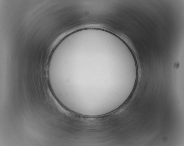 X0000111171436200907010957