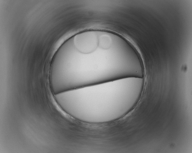 X0000111171437200907010957