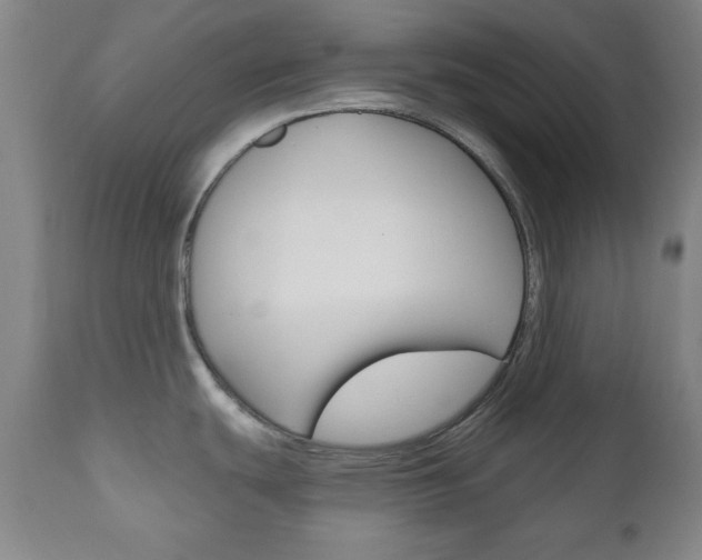 X0000111171439200907010957