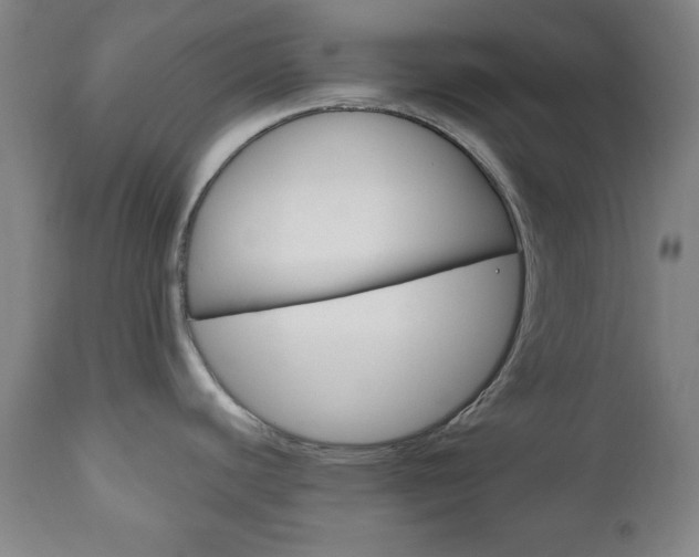 X0000111171440200907010957
