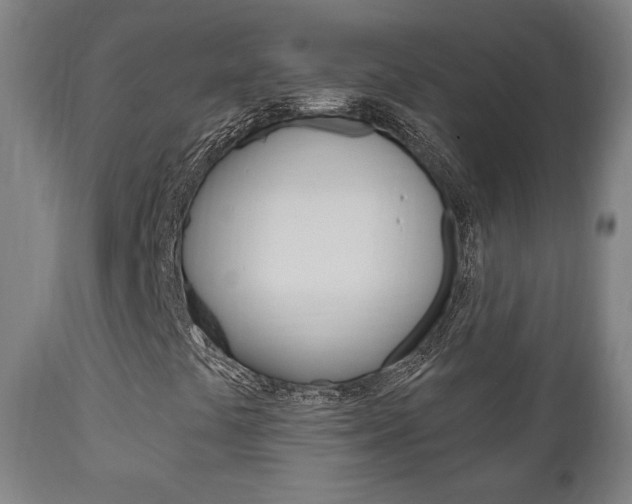 X0000111171441200907010956