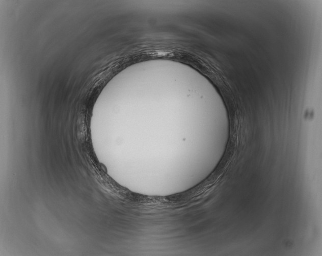 X0000111171442200907010956